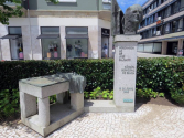Busto de José Ferreira Salgado