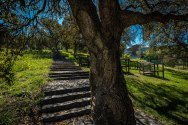 Parque das Camélias
