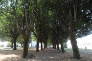 Parque de lazer Guadalupe