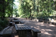 Park of Montariol