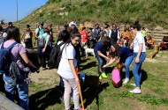 Monte Picoto passa a dispor de Parque Canino - imagem #10