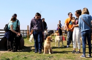Monte Picoto passa a dispor de Parque Canino - imagem #3
