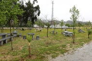 Parque de Merendas de Aveleda ao serviço de toda a Comunidade - imagem #7