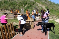 Monte Picoto passa a dispor de Parque Canino - imagem #4