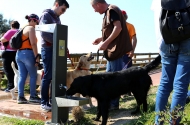 Monte Picoto passa a dispor de Parque Canino - imagem #5