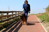 Monte Picoto passa a dispor de Parque Canino - imagem #20