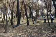 Braga implementa medidas de mitigação dos solos pós-incêndios