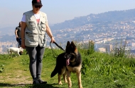 Monte Picoto passa a dispor de Parque Canino - imagem #1