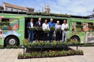 Braga Florida alarga número de ruas, floreiras entregues e participantes 