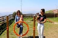 Monte Picoto passa a dispor de Parque Canino - imagem #14