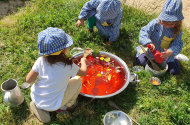 Programa ambiental desafiou crianças de Braga a explorar recreios das escolas - imagem #3