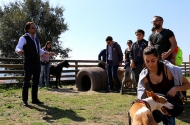 Monte Picoto passa a dispor de Parque Canino - imagem #17