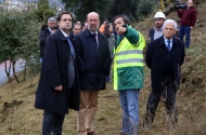 Duas mil novas árvores plantadas no Monte Picoto