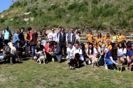 Monte Picoto passa a dispor de Parque Canino - imagem #19