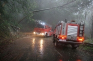 Bombeiros Municipais - imagem #6