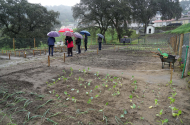 Bairro Nogueira da Silva inaugura Hortas Comunitárias