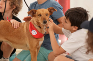 Programa “Voluntaria-te” encerra edição da Páscoa com ações de sensibilização para o bem-estar animal