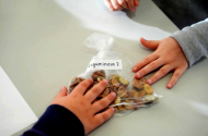 Projecto de educação alimentar chega às escolas do 1.º ciclo de Braga - imagem #2