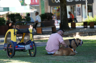 Município de Braga ativa medidas preventivas para minimizar impacto da vaga de calor - imagem #3