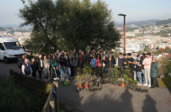 Monte do Picoto recebe 300 novas árvores