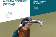 Anda Conhecer Quem Partilha a Praia Contigo (de dia)!