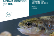 Anda Conhecer Quem Partilha a Praia Contigo (de dia)! - imagem #2
