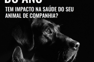 Como é que a alteração das estações do ano tem impacto na saúde do seu animal de companhia?