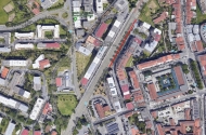 Remoção de espécies arbóreas na Avenida António Macedo pela Infraestruturas de Portugal