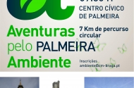 Aventuras pelo Ambiente - Palmeira - imagem #1