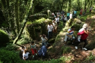 Aventuras pelo Ambiente - imagem #2