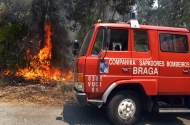 Comissão Municipal de Defesa da Floresta aprova Plano Operacional para 2016