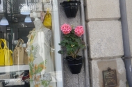 Braga Florida - imagem #3