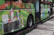 Braga Florida - imagem #2