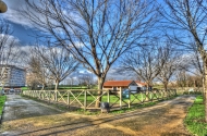 Quinta Pedagógica
