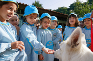 Quinta Pedagógica de Braga lança Banco Alimentar Animal