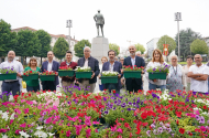 “Braga Florida” embeleza 82 ruas do Centro Histórico