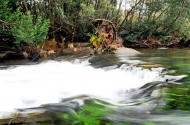 Praia fluvial do Cavadinho distinguida com ‘Qualidade Ouro’