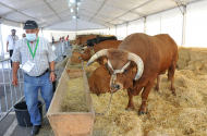 140 expositores já se inscreveram na 55ª edição da Agro