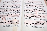 Município divulga património musical das freguesias  - imagem #1