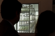 Braga possui uma das maiores estruturas de conservação vegetal do mundo

