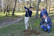 Plantação de árvores no trilho da Encosta do Sul