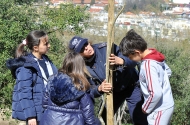 Braga assinala Dia Mundial da Árvore - imagem #1