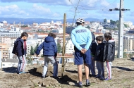 Braga assinala Dia Mundial da Árvore - imagem #10