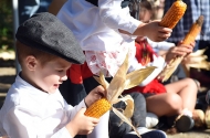 Festa das Colheitas aproxima Gerações - imagem #18
