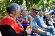 Festa das Colheitas aproxima Gerações - imagem #14