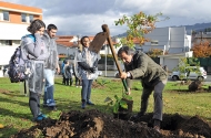 Braga assinala Dia da Floresta Autóctone com plantação e distribuição de árvores