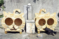 Município de Braga esterilizou 876 gatos e 150 cães nos últimos 3 anos