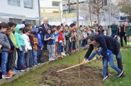 ‘Florestar Braga’ ajudou a plantar mais de 2 mil árvores