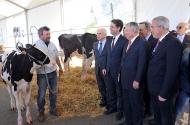 AGRO é marca incontornável de Braga