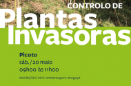 Controlo de Plantas Invasoras no Monte Picoto